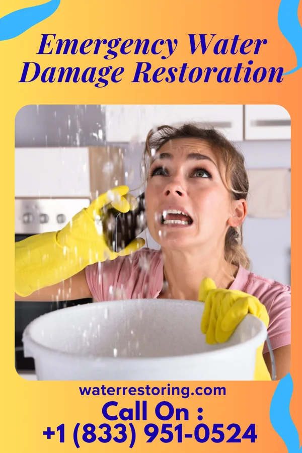 Emergency Water Damage Restoration in Canadian Lakes, MI