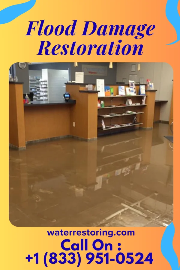 Flood Damage Restoration in Canadian Lakes, MI