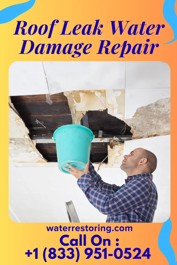 Roof Leak Water Damage Repair in Canadian Lakes, MI