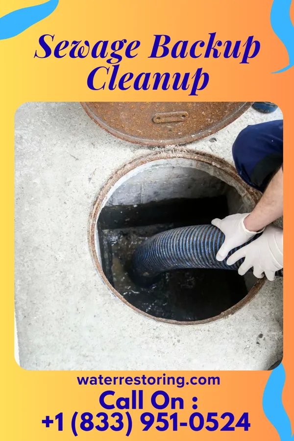 Sewage Backup Cleanup in Canadian Lakes, MI