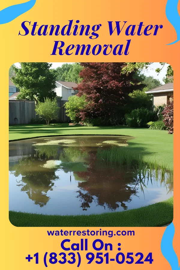 Standing Water Removal in Canadian Lakes, MI